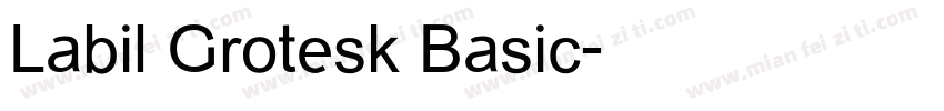 Labil Grotesk Basic字体转换